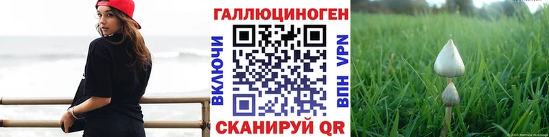Галлюциногенные грибы Psilocybine cubensis  Спас-Клепики 